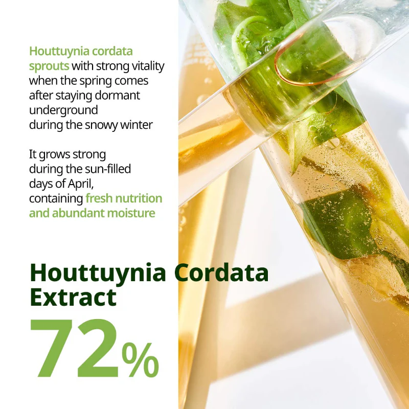 Houttuynia Cordata Calming Mask - Image 5